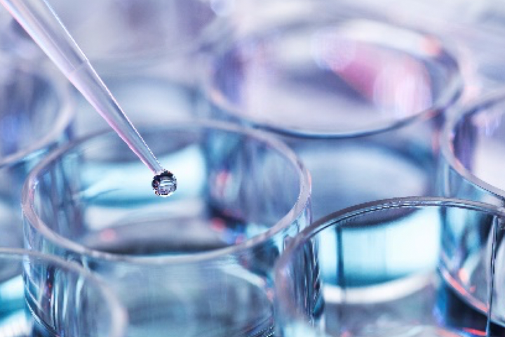 Functional Polymers